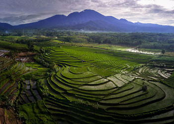 Scenic view of landscape against sky