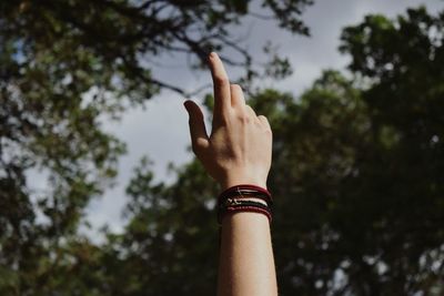 Cropped hand of woman reaching tree