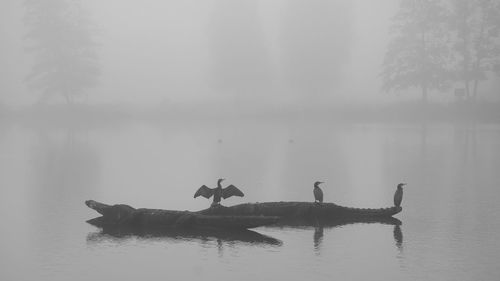 People in a lake