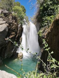 Scenic view of waterfall in forest