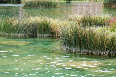 Scenic view of lake