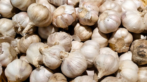 Full frame shot of garlic bulbs on sunny day