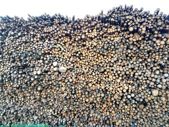 Full frame shot of stack of firewood