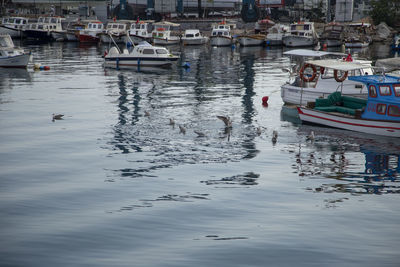 Sailboats moored in sea