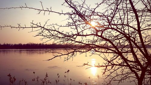 Silhouette bare tree by lake against sky during sunset