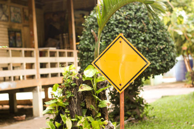 Close-up of yellow sign against trees