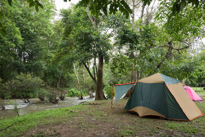 Tent on field against trees in forest