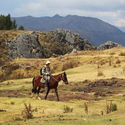 Horse on landscape against mountain range