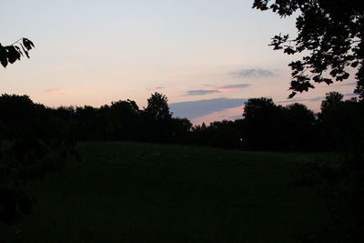 Silhouette trees on field against sky at sunset