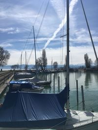 Sailboats moored in marina against sky