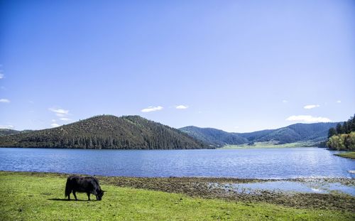 Scenic view of lake against mountain range