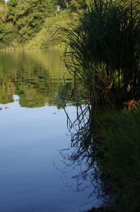 View of a lake