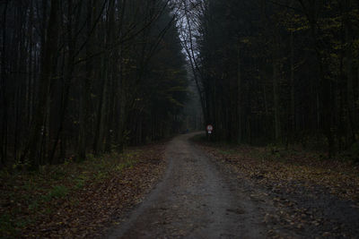 Dirt road amidst trees in forest