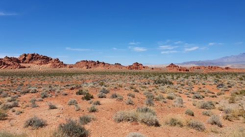 Scenic view of desert against sky