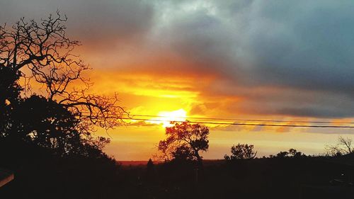 Silhouette trees against dramatic sky during sunset