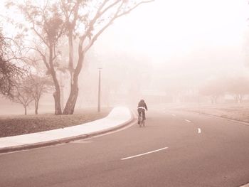 Man riding bicycle