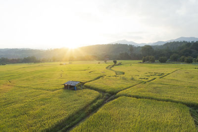 Scenic view of agricultural field against sky