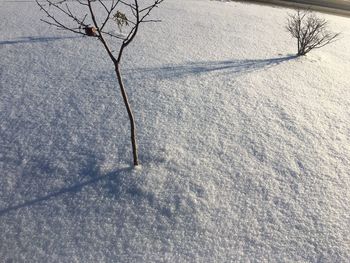 High angle view of snow covered landscape