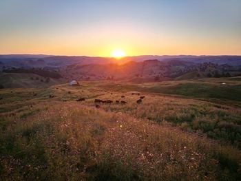 Scenic view of field against sky during sunset
