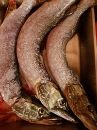 Close-up of fish for sale