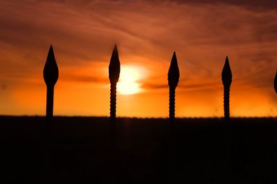 Close-up of silhouette plants against sky during sunset