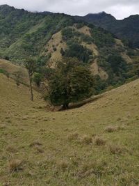 Scenic view of mountains