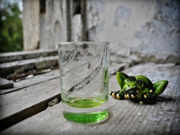 Close-up of frog in glass on table