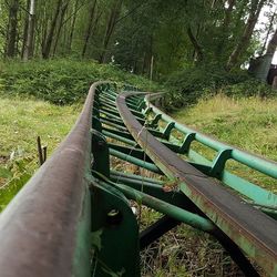 Railroad tracks in forest