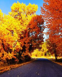 Road amidst trees during autumn