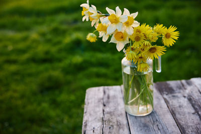 Close-up of flowers in jar on table