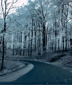 Road amidst trees in forest during winter