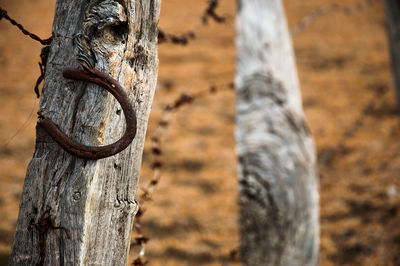 High angle view of old rusty horseshoe magnet on wooden fence