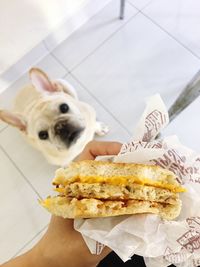 Close-up of hand holding sandwich