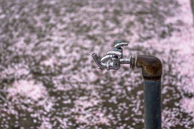 Close-up of faucet against wall