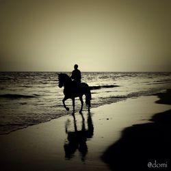 Silhouette of woman standing on beach at sunset