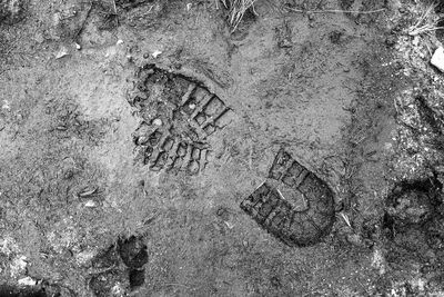 High angle view of text on rock