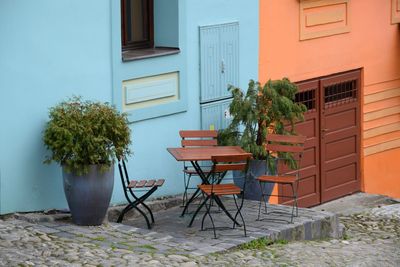 Potted plants on table outside house
