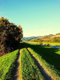 Scenic view of field against clear sky