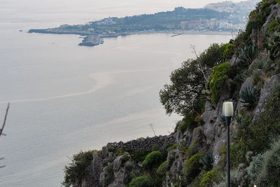 High angle view of sea and trees against sky