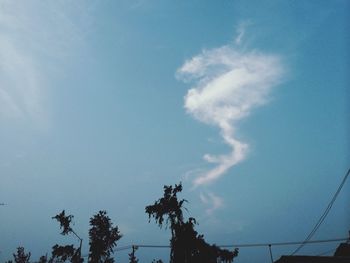 Low angle view of tree against blue sky