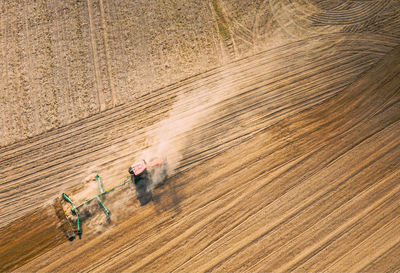 High angle view of people walking on field