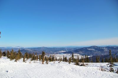 Scenic view of snowcapped mountains against clear blue sky