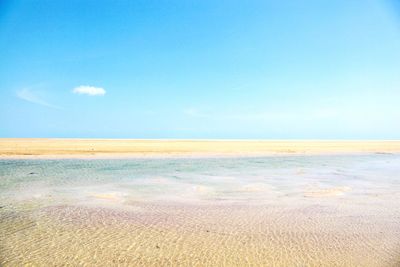 Scenic view of beach against blue sky