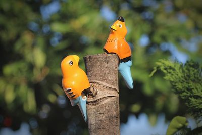 Close-up of bird toy on tree against sky