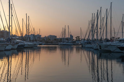 Sailboats in harbor at sunset