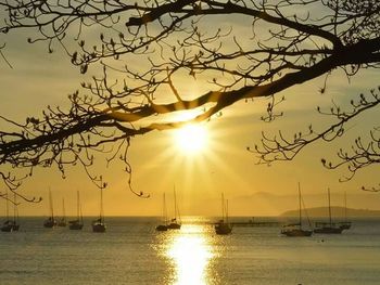 Scenic view of sunset over sea