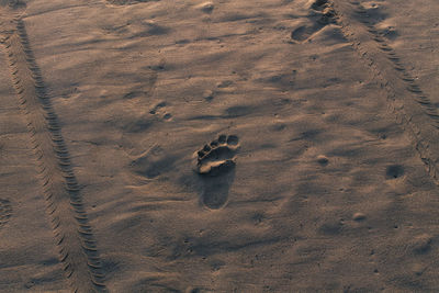 High angle view of footprints at sandy beach