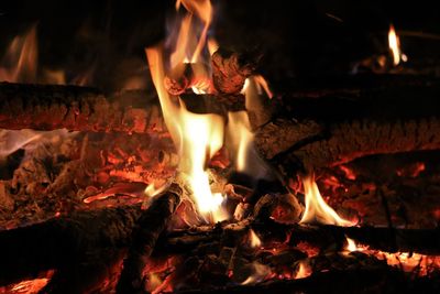 Close-up of bonfire at night