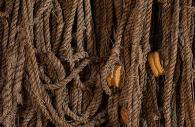 Old, brown ropes and floats used for fishing nets
