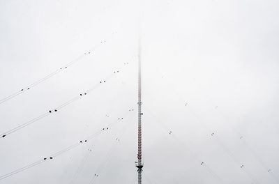 Low angle view of birds flying against clear sky